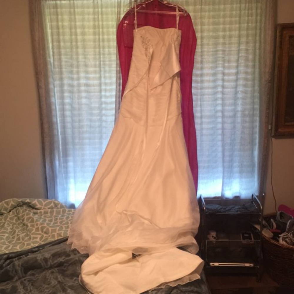Brand new wedding dress never worn no tag attached.  Ask questions before buying